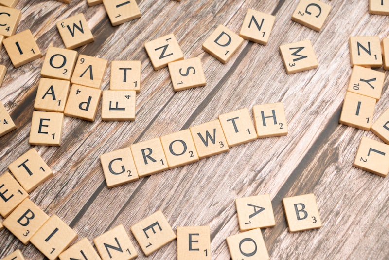 Growth Mindset: Fondasi Sukses Pebisnis Pemula Di Era Digital